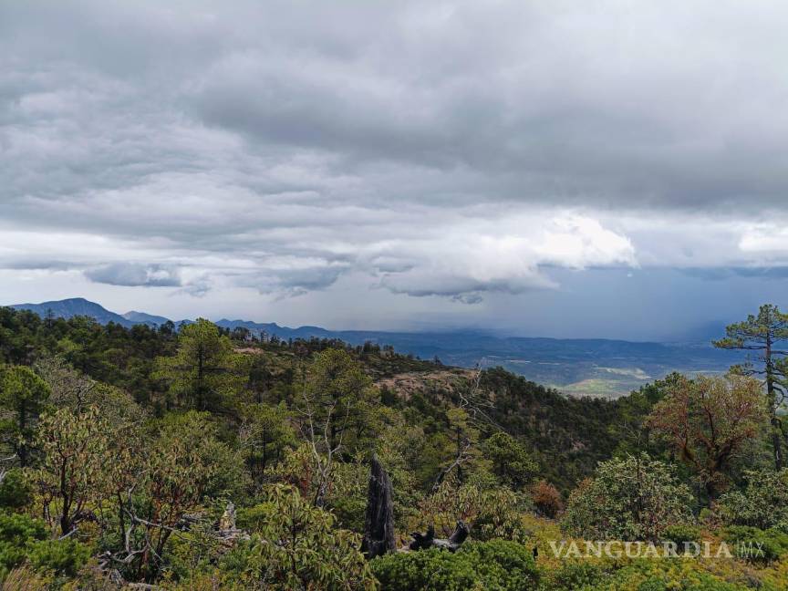 $!Está abierta la convocatoria para la recepción de proyectos de conservación del área protegida del Cañón de Fernández. FOTO: CORTESÍA FONDO DE AGUA PARA LA LAGUNA