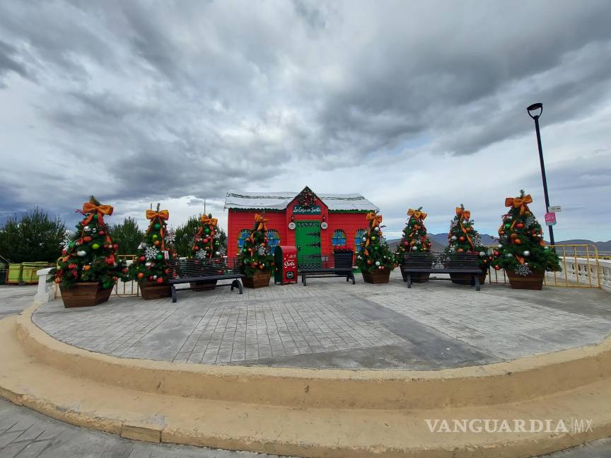 $!Estos son los pinos navideños más atractivos de Saltillo, conoce sus ubicaciones