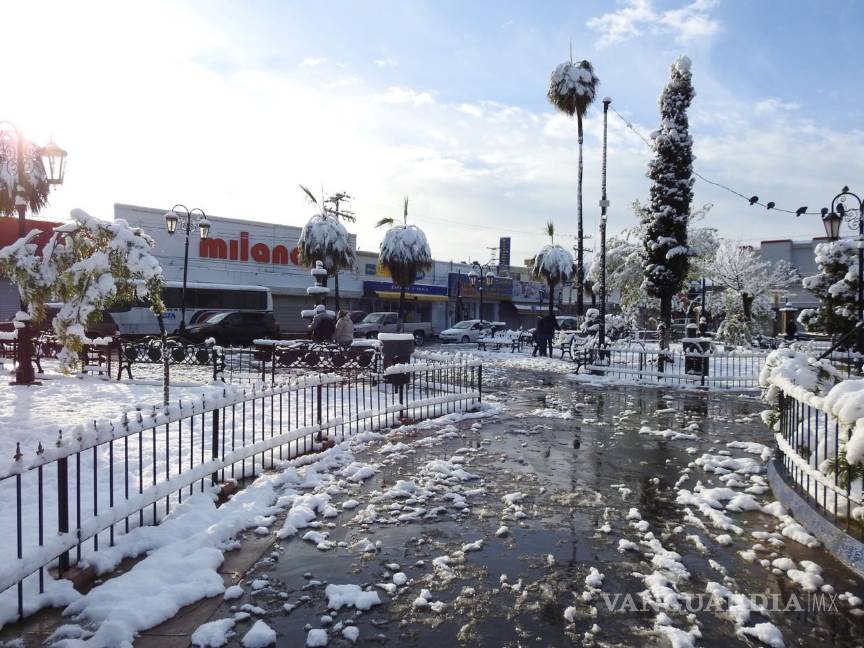 $!La nieve también embellece a Monclova (fotos)