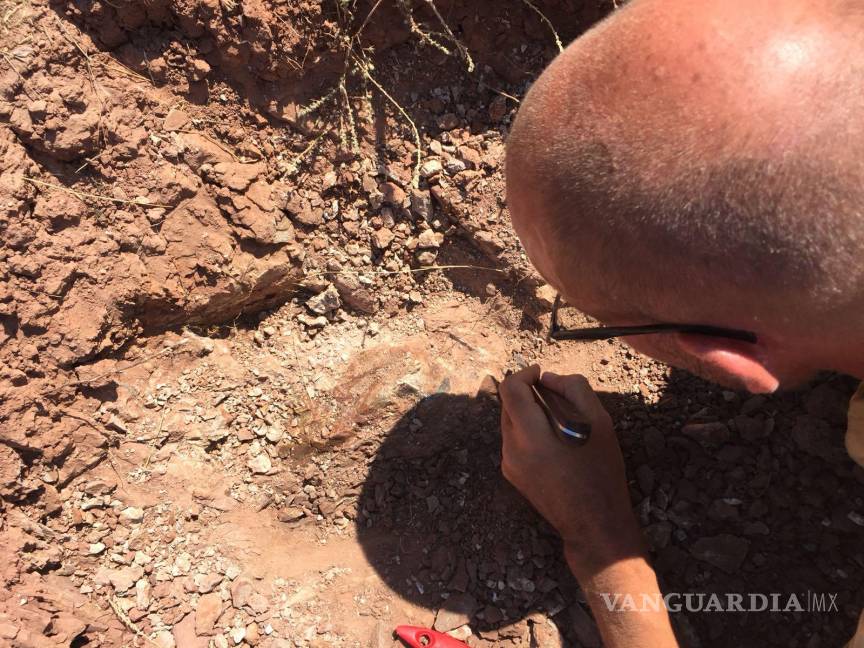 $!El científico Grégoire Métais durante una excavación.