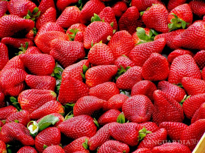 $!Las fresas no solo son bajas en calorías, también están cargadas de vitamina C.
