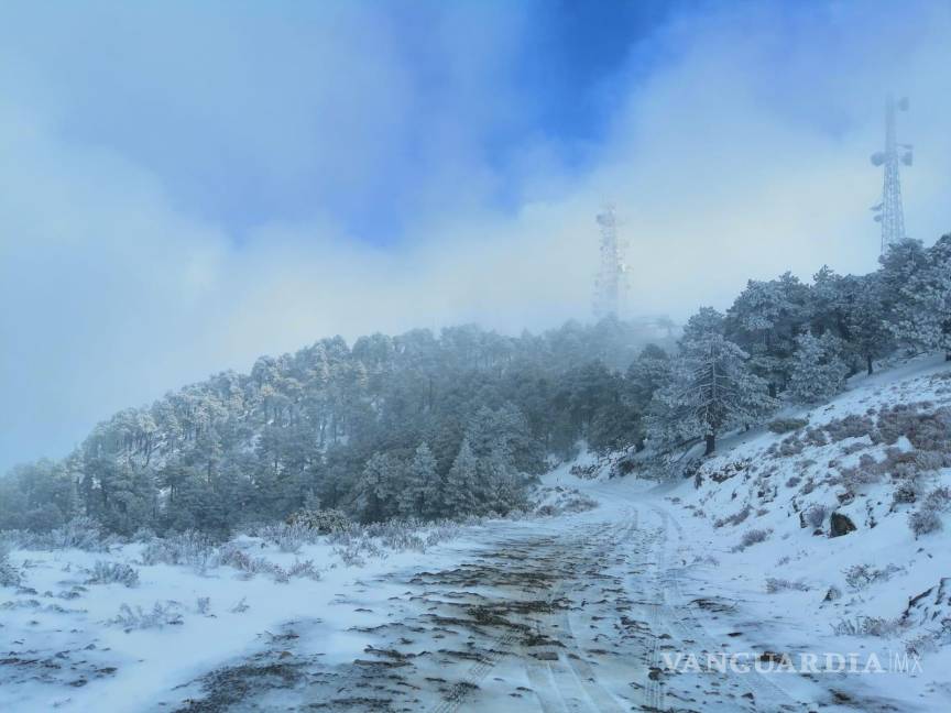 $!En redes sociales también fueron compartidas algunas estampas del paisaje nevado al sur del estado.