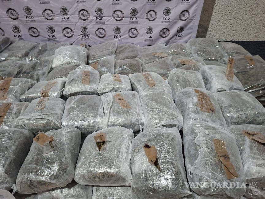 Capturan a hombre con 228 kilos de marihuana en General Bravo, Nuevo León