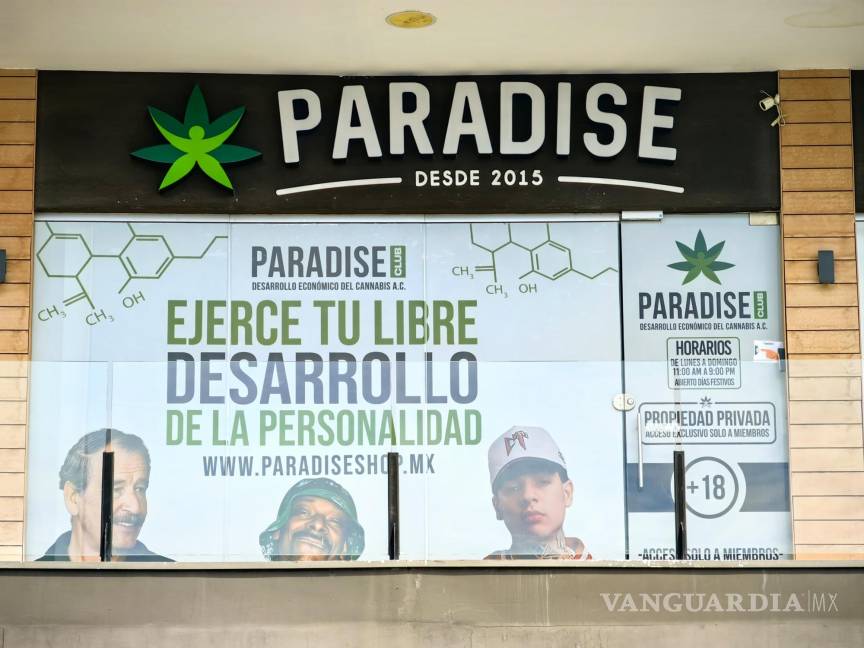 $!Paradise ha “disfrazado” la venta de mariguana a través del esquema de clubes.