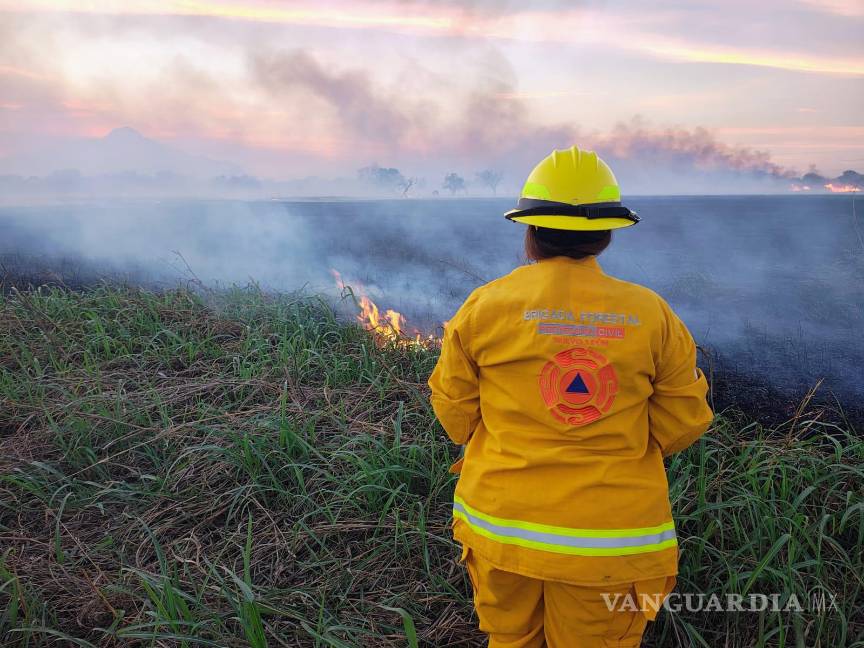 Viento, calor y baja humedad ocasionan 315 incendios en NL