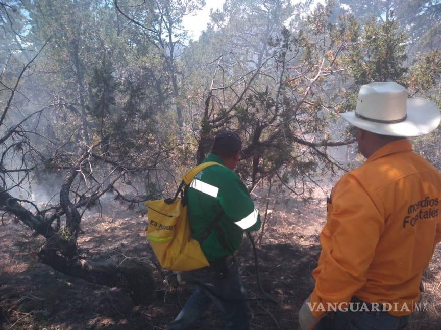 $!Incendio consume 100 hectáreas de pastizal en El Tunal, en Arteaga; logran controlarlo