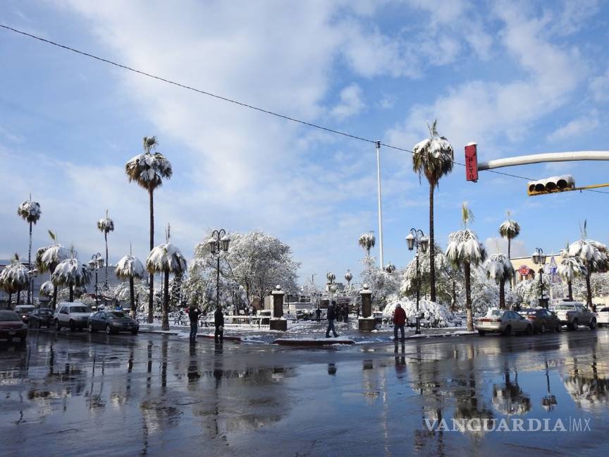 $!La nieve también embellece a Monclova (fotos)