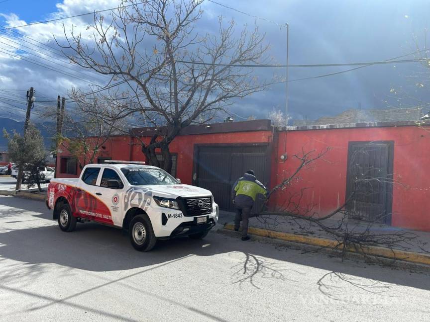 $!Árboles caídos, panorámicos dañados, postes derribados, entre otras, fueron las alertas que atendió Protección Civil y Bomberos.