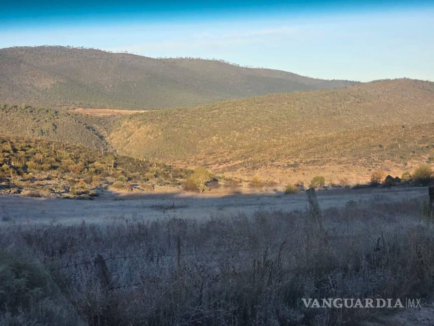 Frente Frío número 13 trae la presencia de hielo al sur de NL