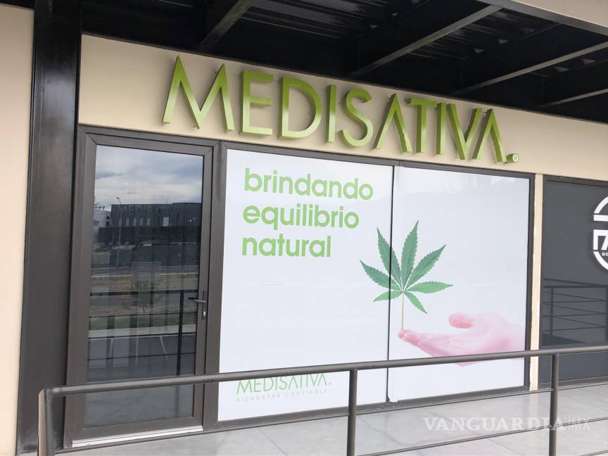 Saltillo: Adultos mayores aumentan consumo de productos derivados del cannabis (mariguana)