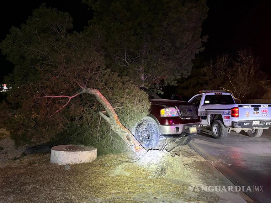 $!El árbol en el camellón central sufrió daños tras el fuerte impacto.