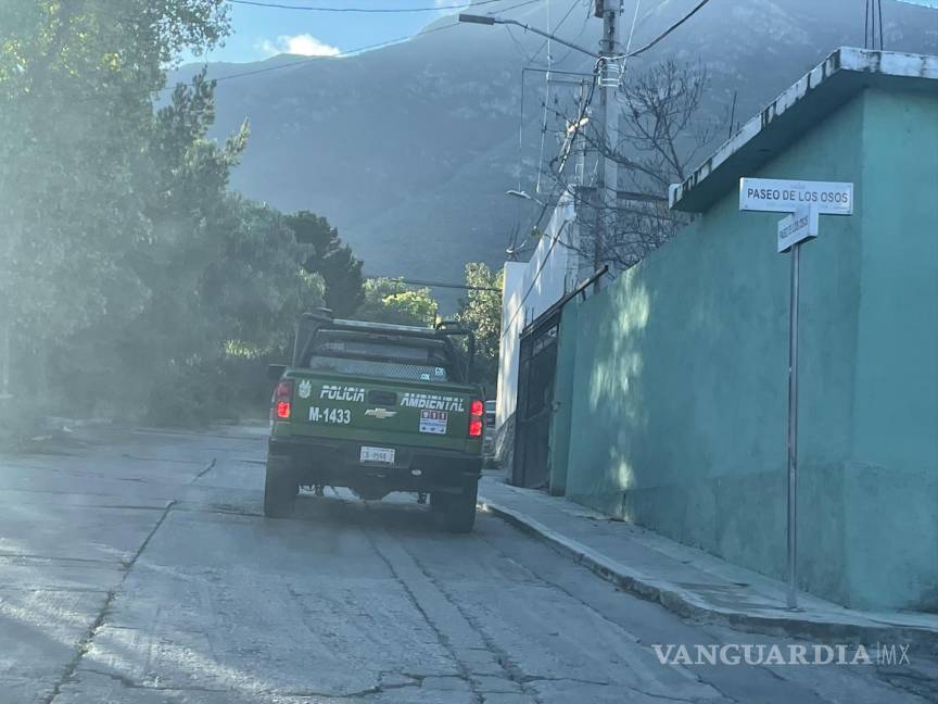 Reportan osezno en zona de Lomas de Lourdes