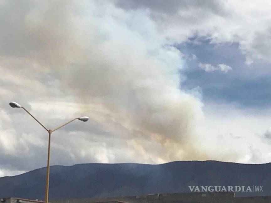 $!Reportan incendio en ejido El Diamante en Arteaga, Coahuila