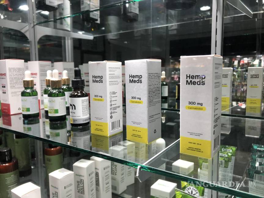 Saltillo: Adultos mayores aumentan consumo de productos derivados del cannabis (mariguana)