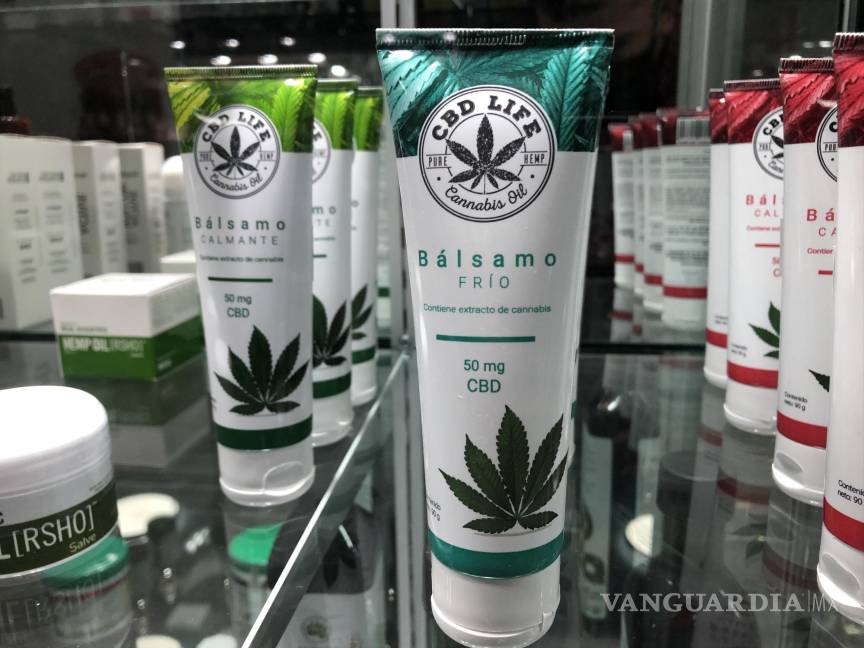 Saltillo: Adultos mayores aumentan consumo de productos derivados del cannabis (mariguana)