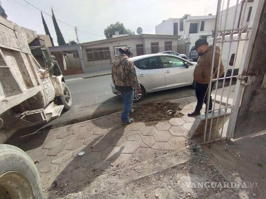 $!La denuncia de Saltillo Verde ha puesto en evidencia la falta de controles en la tala de árboles en áreas urbanas, generando un debate sobre la protección del medio ambiente en la ciudad.