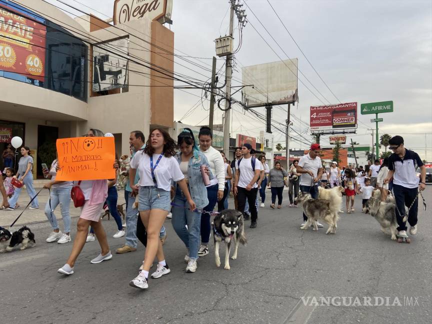 ‘Bomberos asesinos’; ciudadanos exigen justicia por muerte de perritos en Monclova