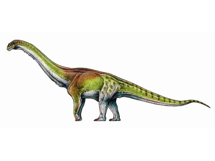 Patagotitan mayorum, el dinosaurio más grande del mundo