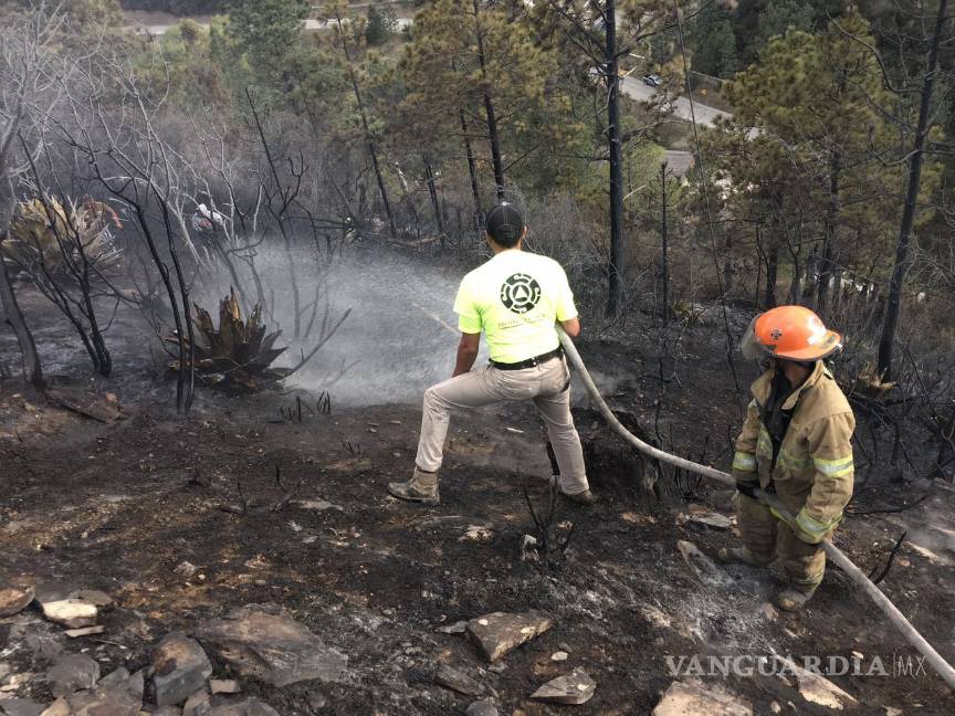 En lo que va del año 70 incendios forestales se han registrado en Coahuila