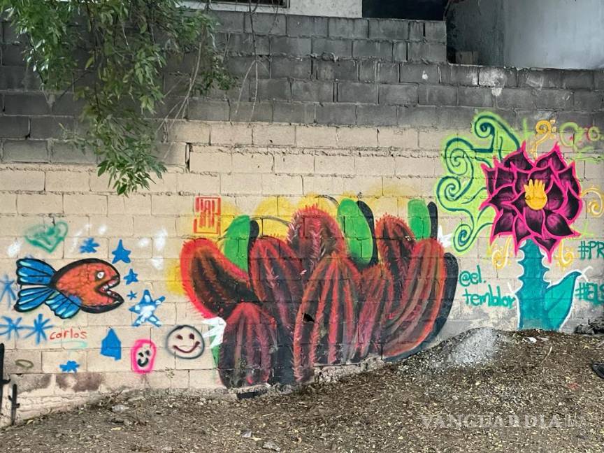 Invitan a ciudadanos a sumarse a la limpieza del arroyo Urdiñola