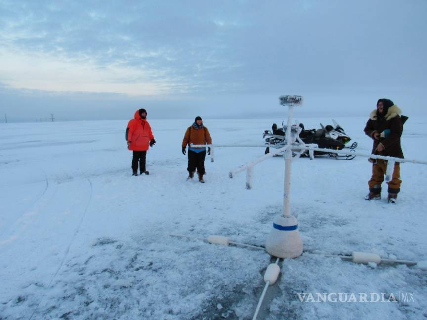 $!Buscan salvar el hielo del Ártico con una fina capa microesferas de vidrio