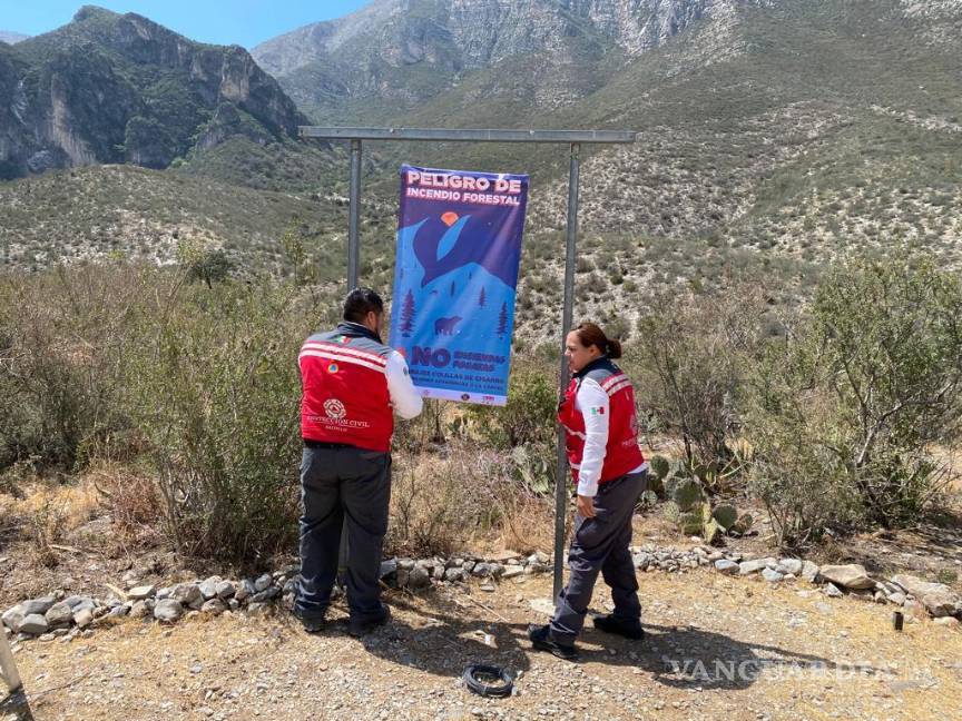 $!Protección Civil hace un llamado a proteger las áreas verdes de la región.