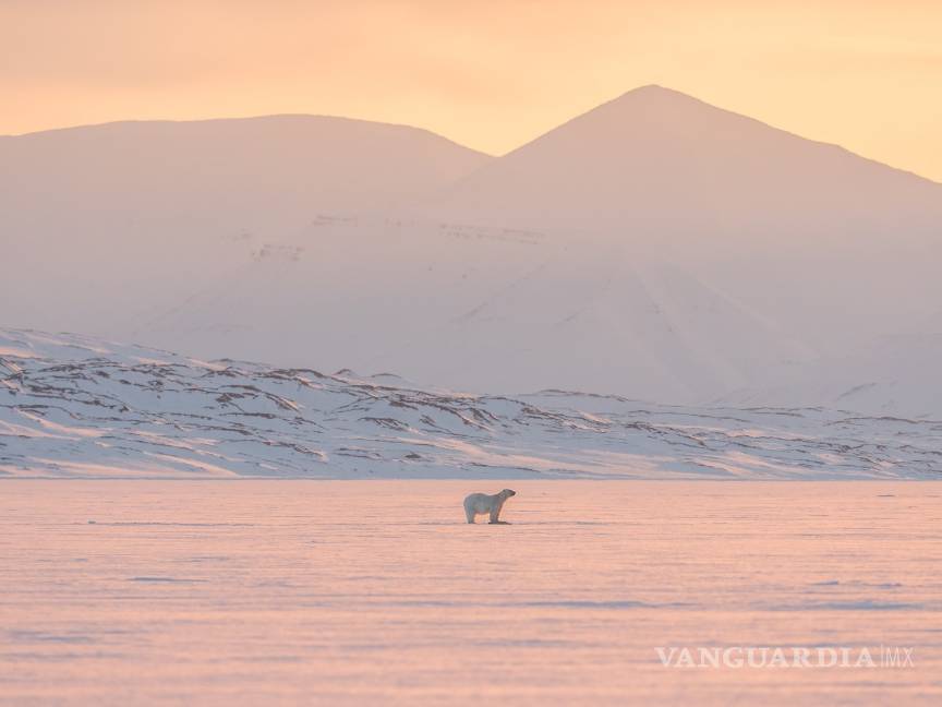 $!North Pole Igloos Hote, una experiencia única en el Polo Norte