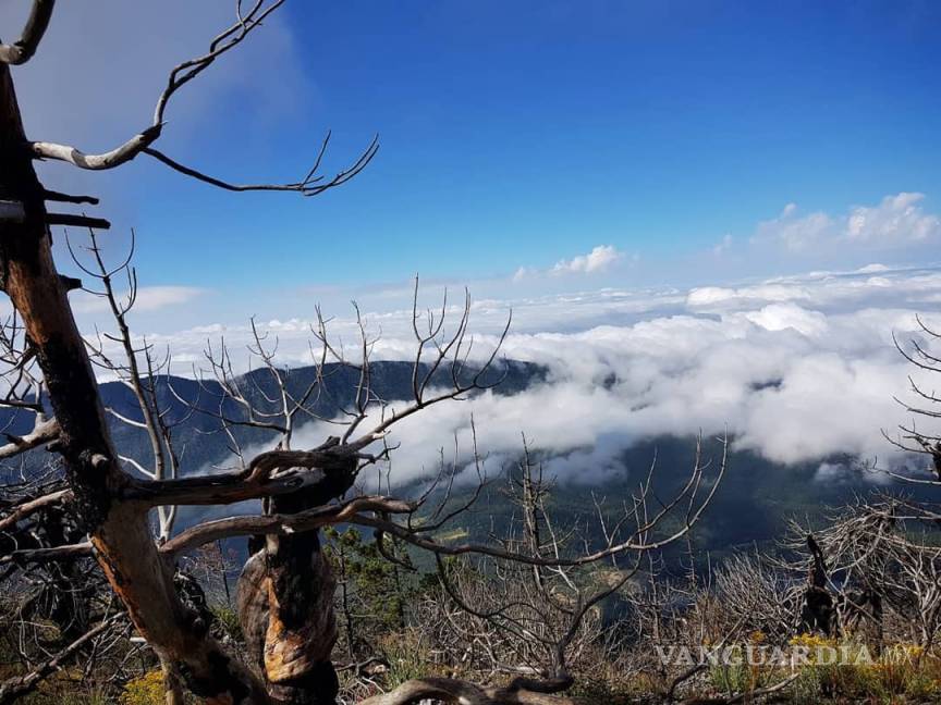 $!La Viga y la vida: Subiendo la montaña más alta de Coahuila