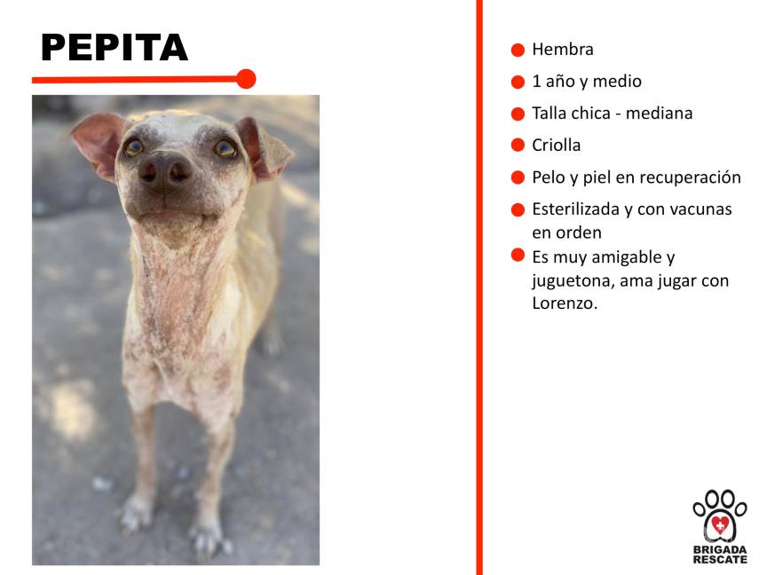 $!Cadenas de soledad