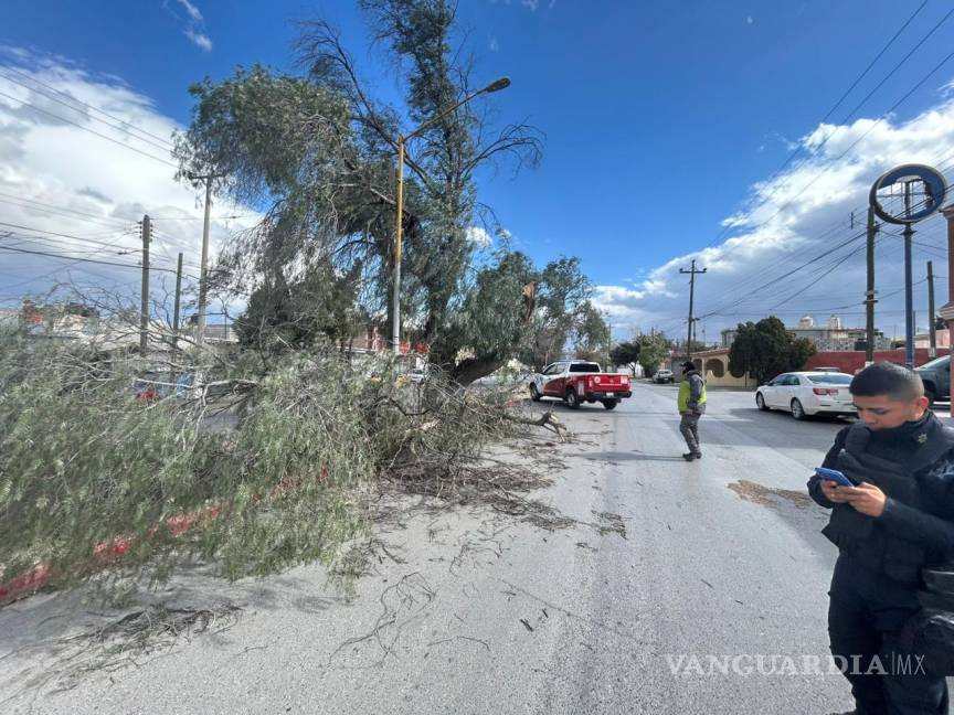 $!Ayer los Bomberos de Saltillo y el personal de Protección Civil tuvieron un día agitado.