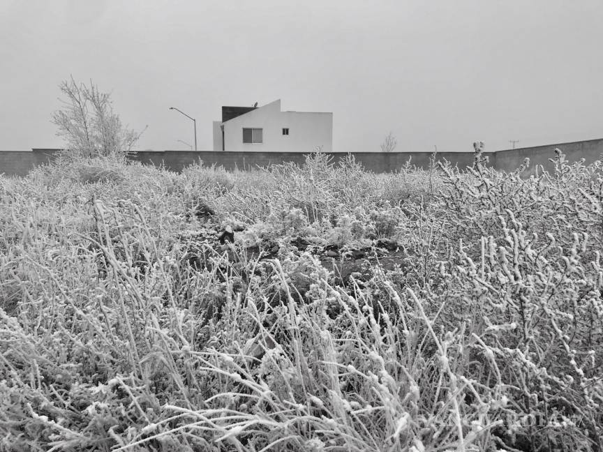 Ramos Arizpe se viste de blanco (fotogalería)