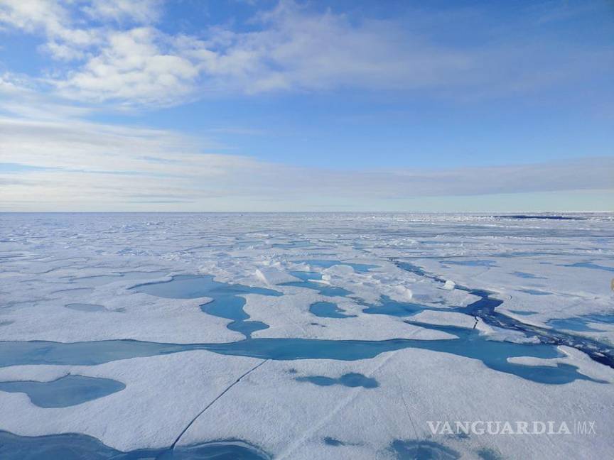 $!Los científicos consideran que el Ártico se quedará sin hielo cuando el océano Ártico “tenga menos de un millón de kilómetros cuadrados de hielo”.