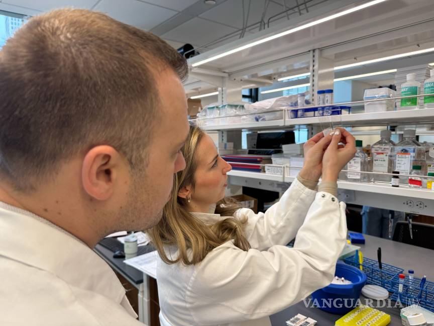 $!Los autores del estudio, David Gate (izquierda) y Lynn van Olst (derecha), comparan dos portaobjetos con tejido cerebral humano con enfermedad de Alzheimer.