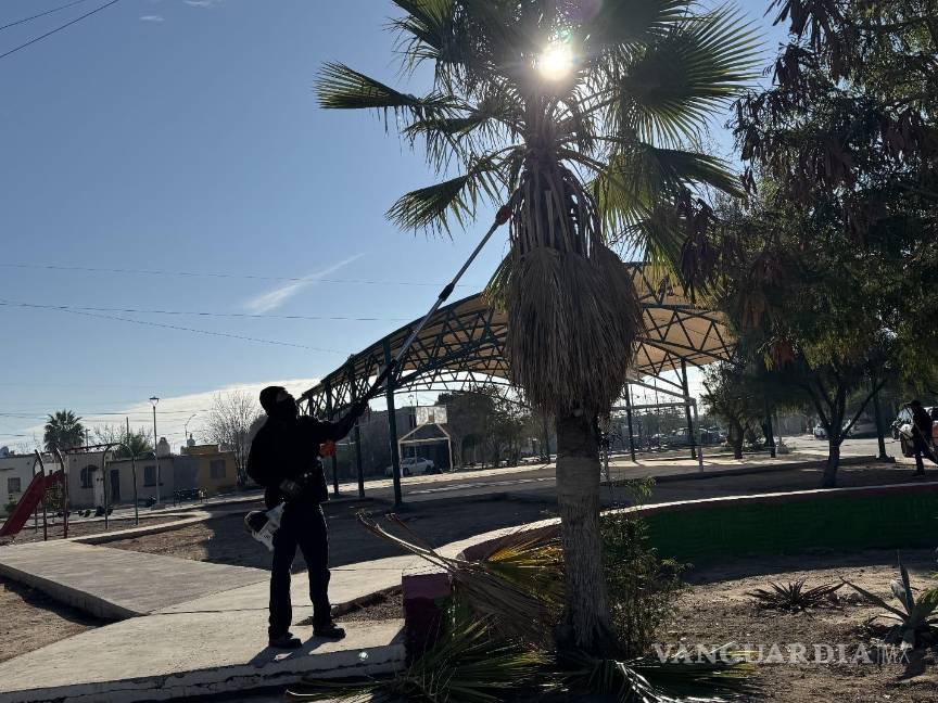 $!La brigada municipal atendió vialidades, plazas y áreas verdes del sector.