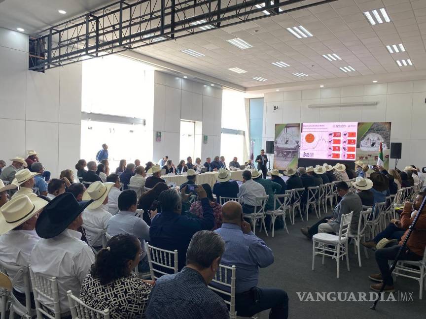 Congreso de Coahuila y la Seder buscan se reanude la exportación de ganado a EU