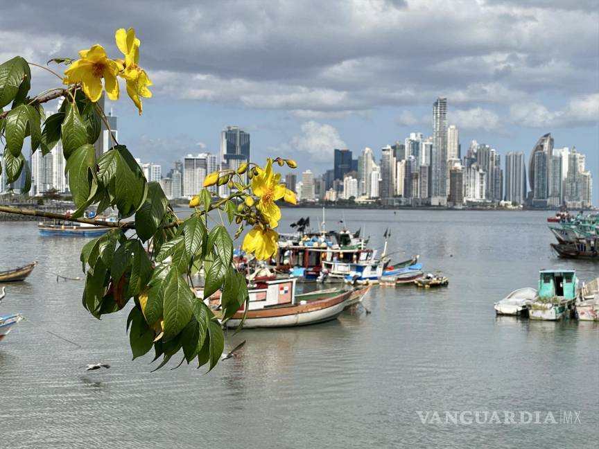 $!El amarillo es el color favorito de los chinos. Al fondo, el skyline de Panamá.