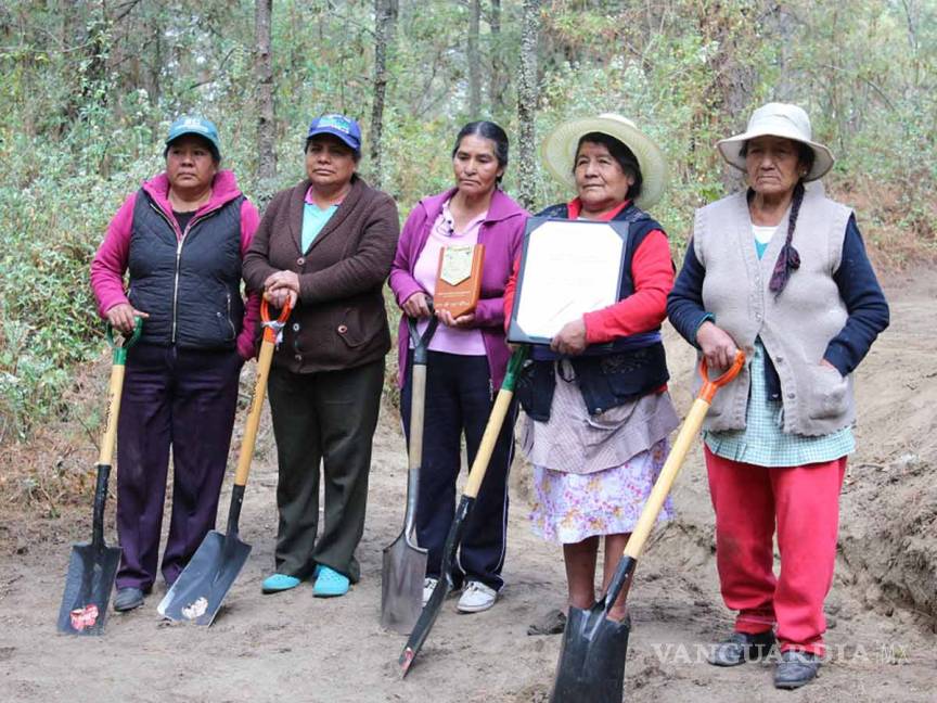 $!Con picos y palas estas mujeres protegen el Parque Nacional Malinche