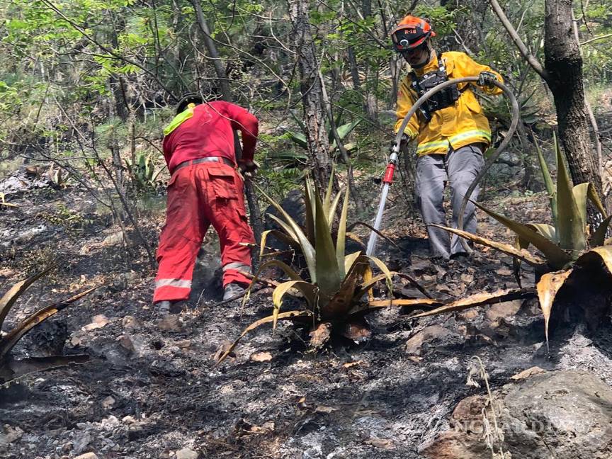 Combate Nuevo León incendios en sus sierras; controla cinco de siete