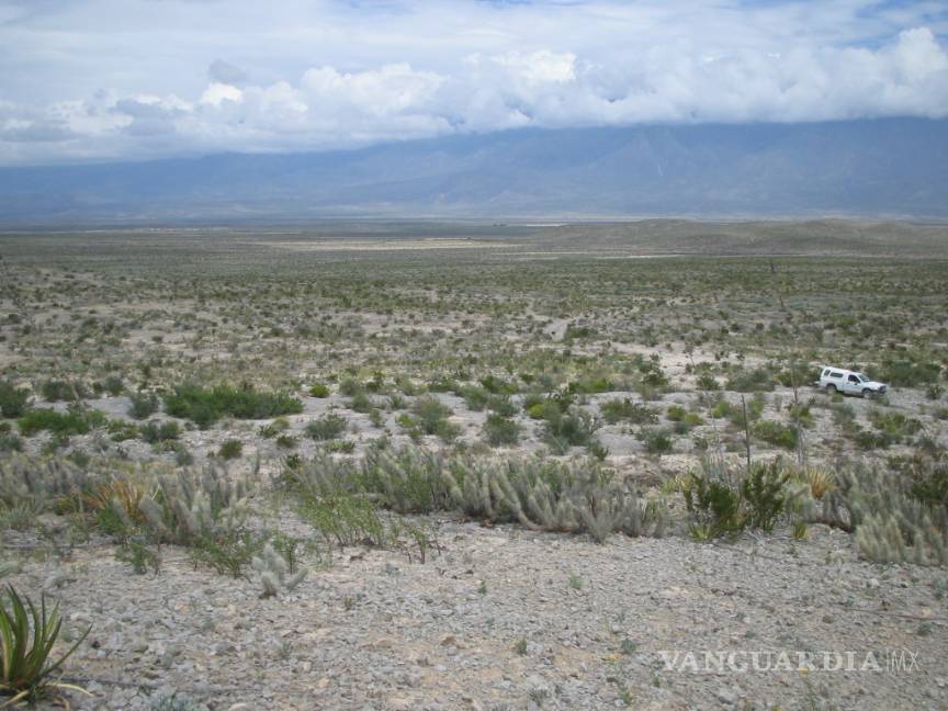 Entre 70 y 75% del planeta padece algún grado de desertificación