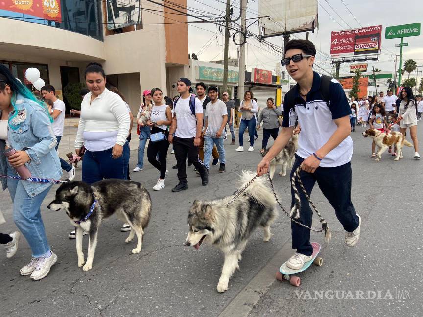 $!“Bomberos maldito, deja en paz a los perritos” comenzaron a gritar los manifestantes.