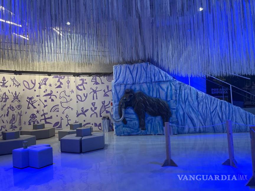 ¿Listo para la aventura? Conoce Sealand, el primer acuario interactivo en Monterrey