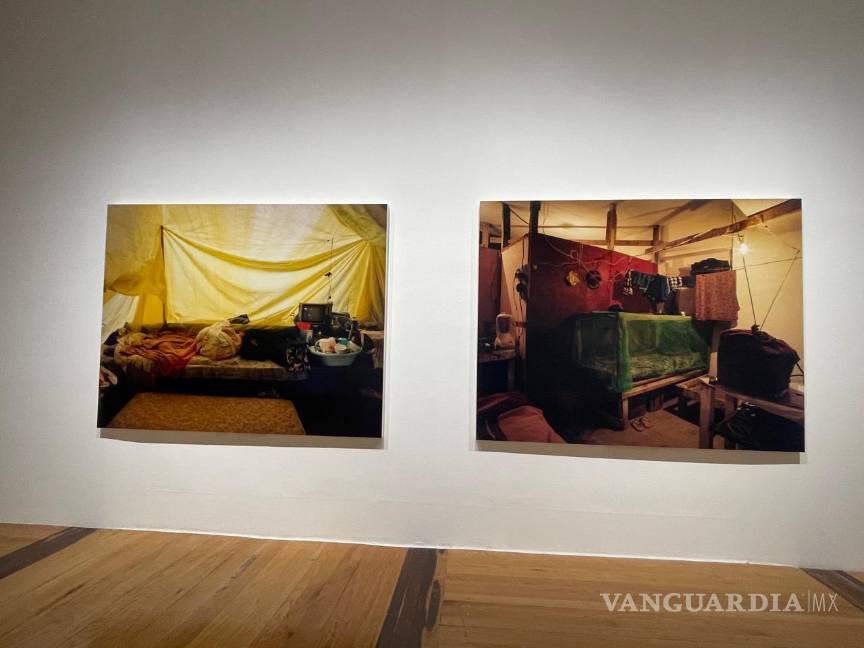 Presentan en Marco exposición ‘Diálogos. Artistas Mujeres en la Colección Ella Fontanals-Cisneros’