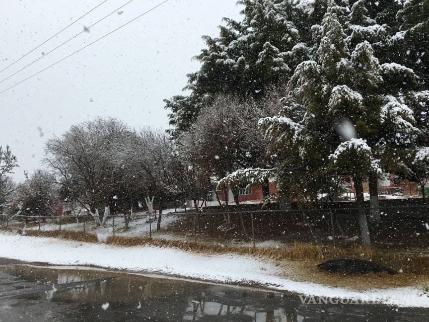 $!Reportan caída de nieve en Arteaga