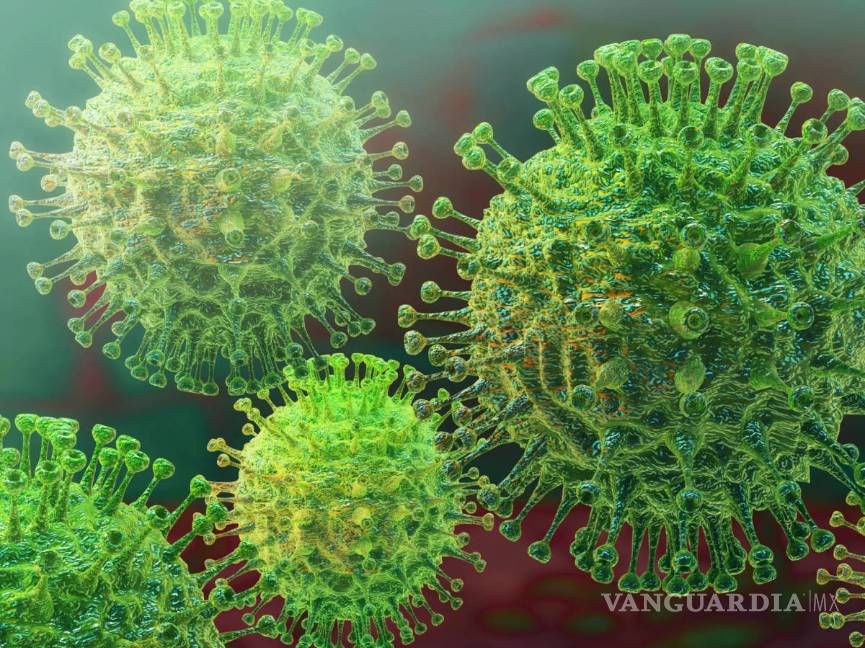 Coronavirus: Han muerto más de 15 mil personas en el mundo por COVID-19