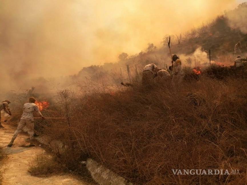 $!Ejército activa Plan DN-III por motivo de incendios forestales en Baja California