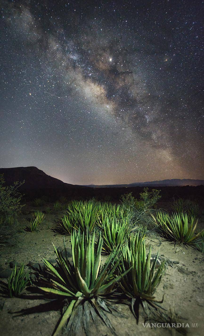 $!Comparte Daniel Bates la vitalidad del desierto en el MUDE