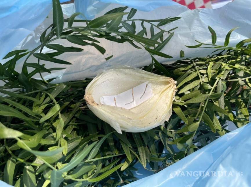 Hallan restos de brujería y hechizos en arroyo Urdiñola de Saltillo