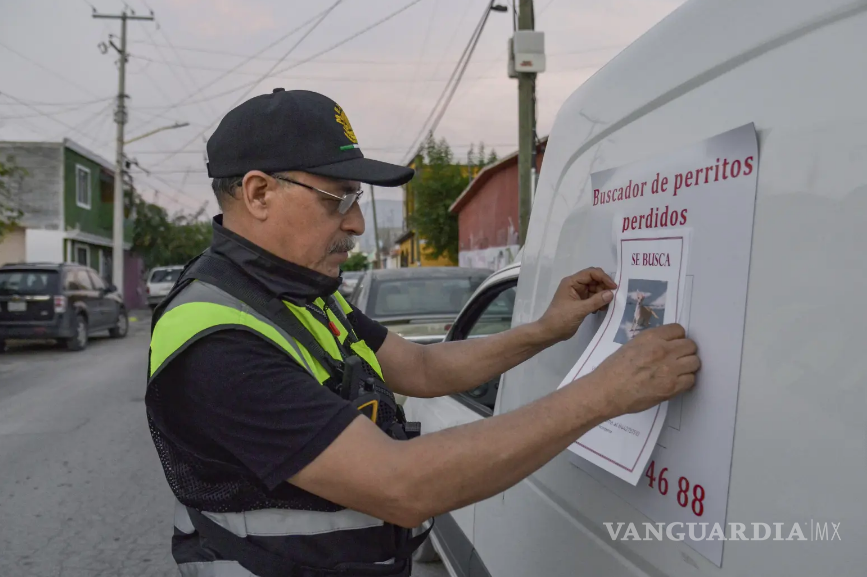 $!Parte de su labor consiste en difundir fichas de mascotas extraviadas mientras recorre distintos sectores de Saltillo en busca de animales reportados por sus familias.