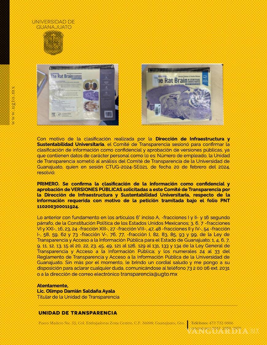 $!Fantasmas que se niegan a desaparecer: los negocios de empresas falsas en el sexenio de AMLO