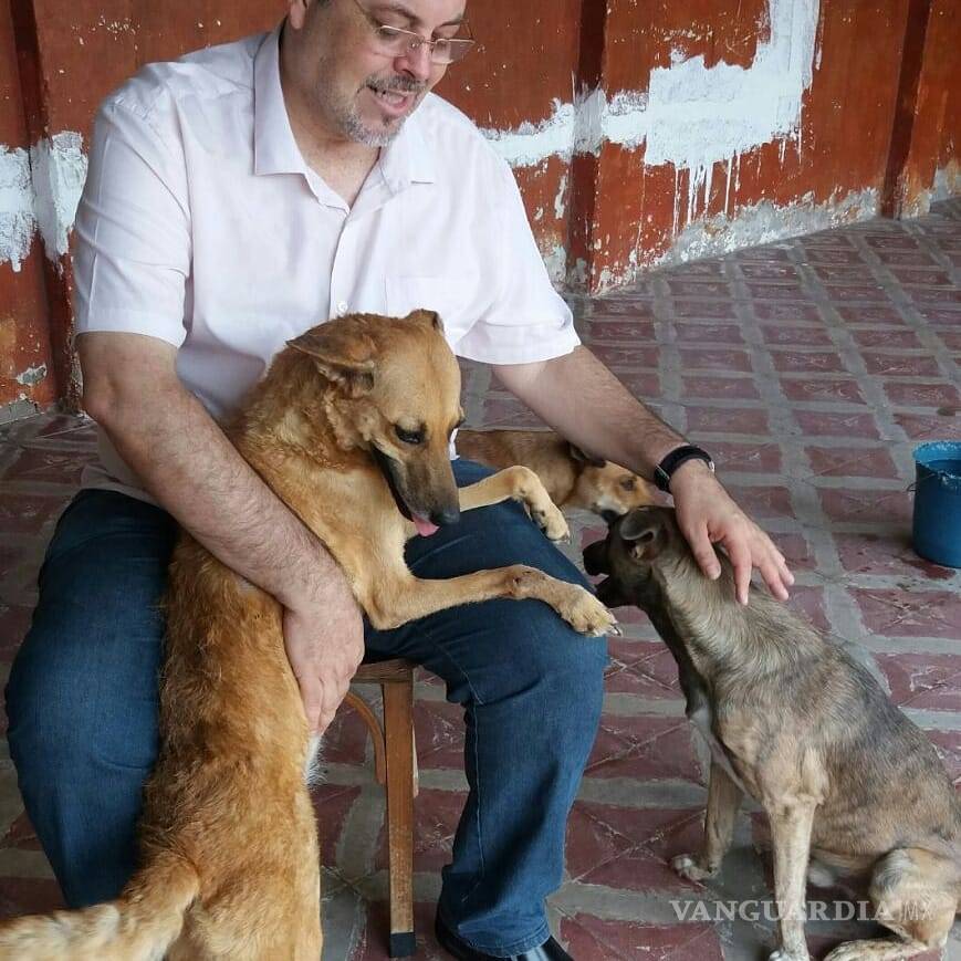 $!Sacerdote lleva perros a sus misas para que fieles los adopten; "Son de Dios"